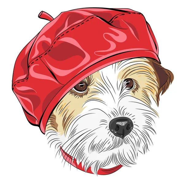 Vektorfarbskizze Des Drahthaarigen Hundes Jack Russell Terrier Trendiger Roter Ledermütze — Stockvektor
