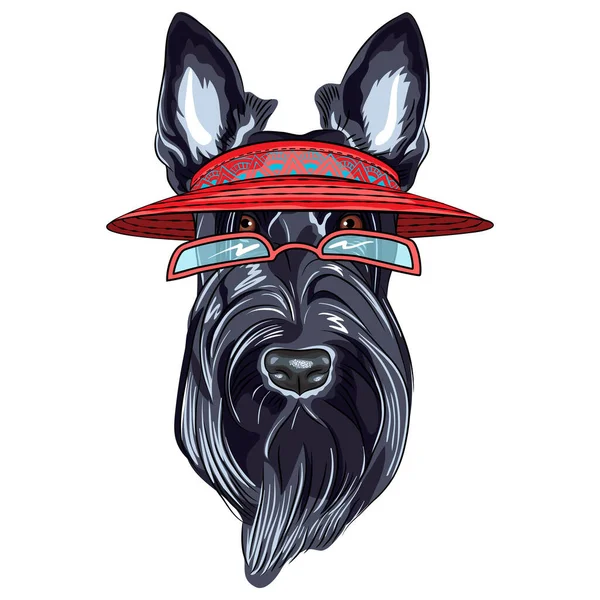 Vector Dog Scottish Terrier Αντηλιακό Και Γυαλιά — Διανυσματικό Αρχείο