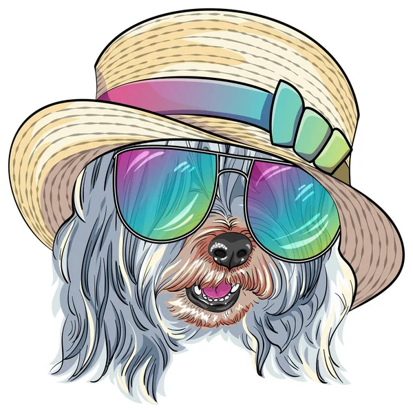 Vector Cão Lowchen Little Lion Dog Chapéu Palha Óculos Sol — Vetor de Stock