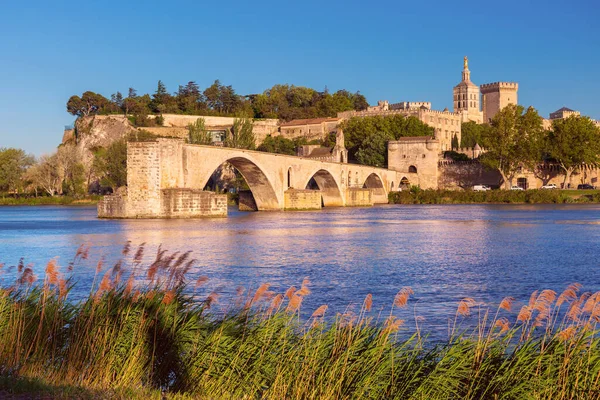 stock image Famous medieval Saint Benezet bridge and Palace of the Popes during gold hour, Avignon, France