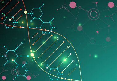 Bilim şablonu, duvar kağıdı ya da DNA moleküllü pankart. Vektör illüstrasyonu.