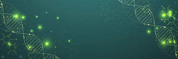 Науковий Шаблон Шпалери Або Банер Молекулами Днк Векторні Ілюстрації — стоковий вектор