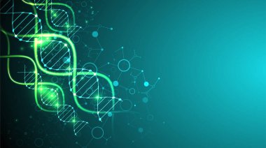 Bilim şablonu, duvar kağıdı ya da DNA moleküllü pankart. Vektör illüstrasyonu