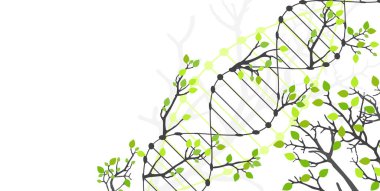 DNA molekülü ve ağaç dallarının soyut görüntüsüne sahip bilimsel tıbbi altyapı. El çizimi vektör illüstrasyonu.