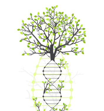 DNA molekülü ve ağaç dallarının soyut görüntüsüne sahip bilimsel tıbbi altyapı. El çizimi vektör illüstrasyonu.