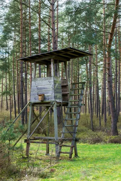 Ένας Ξύλινος Πύργος Παρατήρησης Κυνηγιού Στη Μέση Ενός Ευρωπαϊκού Δάσους — Φωτογραφία Αρχείου