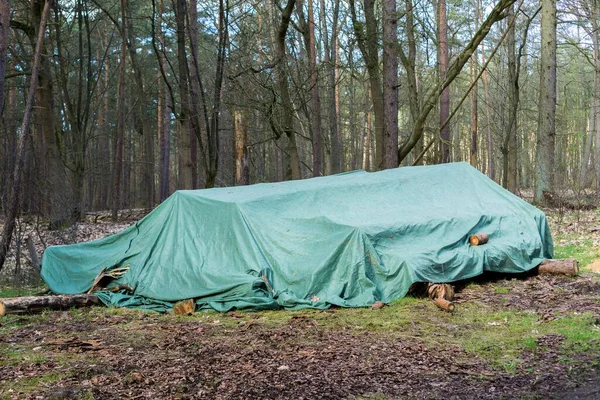 Egy Zöld Vízálló Ponyva Védi Kivágott Rönköket Rossz Időjárástól Erdőben — Stock Fotó