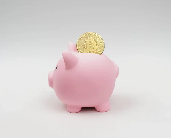Piggy Bank Saving Crypto Λευκό Φόντο — Φωτογραφία Αρχείου