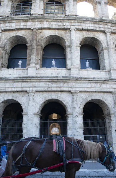 Colosseo Roma Visto Attraverso Tipica Carrozza Trainata Cavalli Chiamata Botticella — Foto Stock