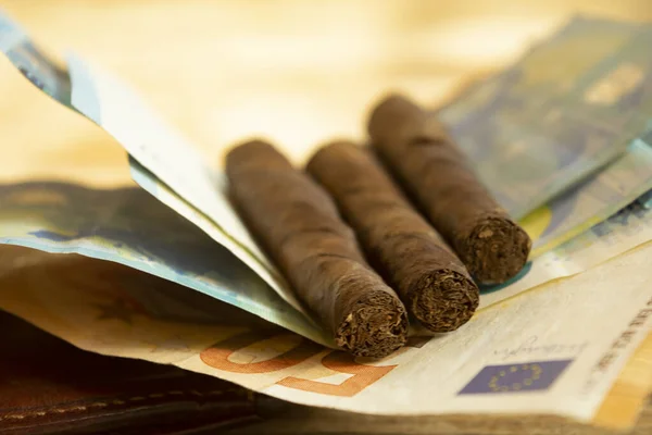 Concetto Costo Del Fumo Con Sigari Appoggiati Alle Banconote — Foto Stock