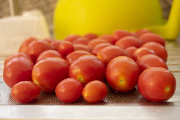 Tomates Cereja Colhidos Lavados Prontos Para Serem Usados — Fotografia de Stock