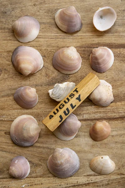 Summer Concept Some Seashells Written August July — Stock Photo, Image