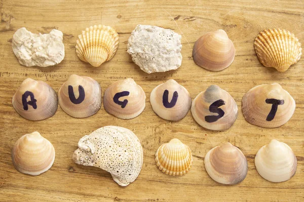 concept of august and holidays with the inscription on seashells