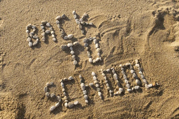 Torna Scuola Scritta Con Sassi Sulla Sabbia Una Spiaggia — Foto Stock