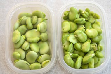 İki şeffaf plastik kap canlı yeşil, kabuklu geniş fasulye (fava fasülyesi), depolanmaya veya pişirmeye hazır
