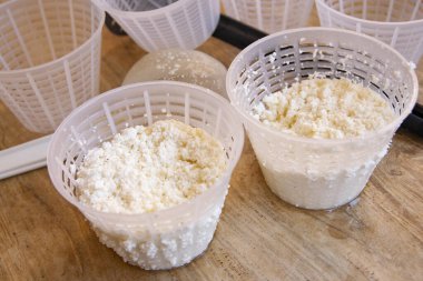 Tahta masadaki plastik sepetlerde süzen taze ricotta peyniri, elek ve küf şeklinde.