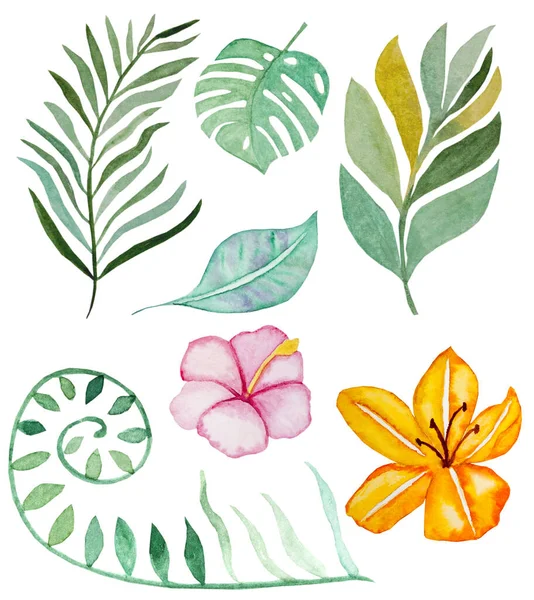 Állítsa Trópusi Akvarell Levelek Virágok Fehér Alapon Kézzel Rajzolt Akvarell — Stock Fotó