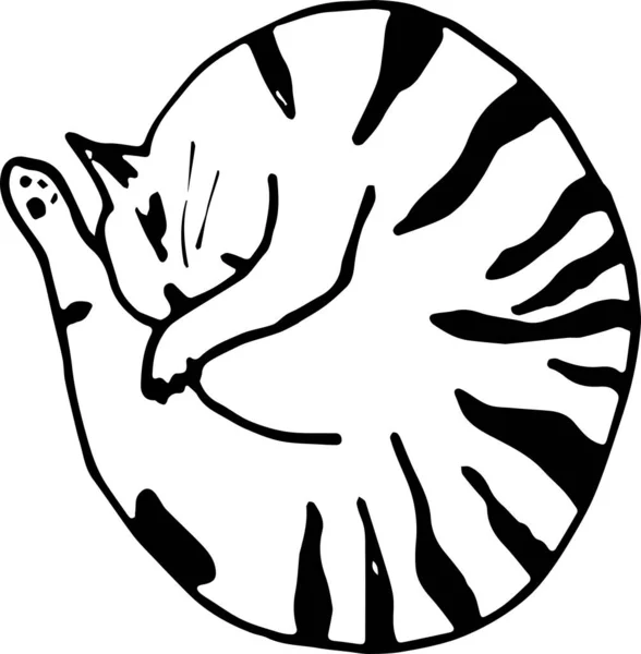 Aranyos Macska Összebújva — Stock Fotó