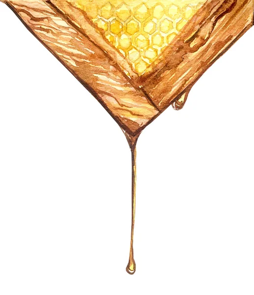 Honeycombs Frame Drop Honey — Stockfoto