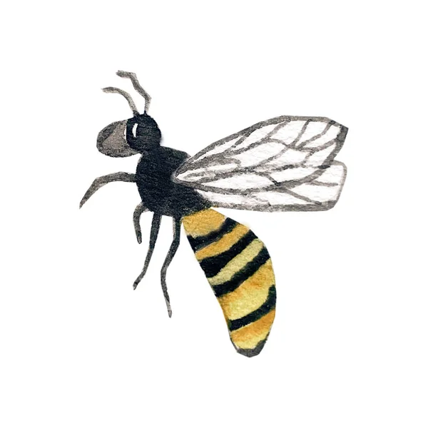 Honey Bee Watercolor Hand Drawn Illustration Background — Stockfoto