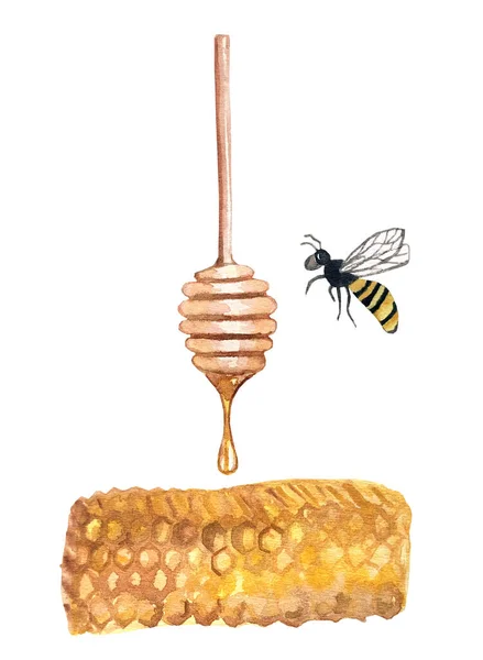 Flying Bee Honey Stick Honeycomb Watercolor Hand Drawing Illustration — Foto Stock