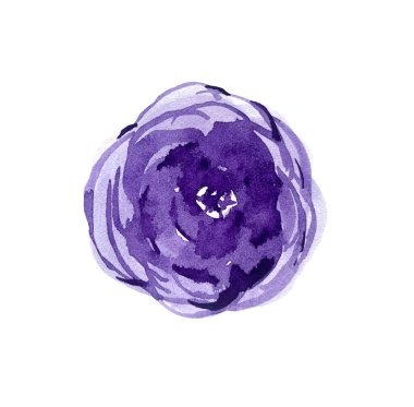 Delicate hand drawn watercolor flower in blue and violet.