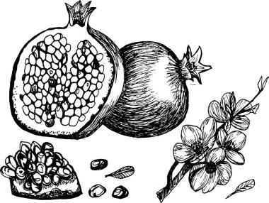 Nar monokrom elementleri