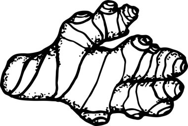 Mutfak tasarımı için zencefil