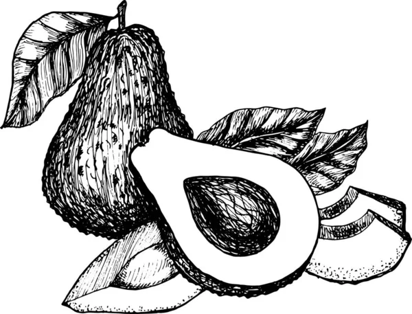 Ручной Набор Авокадо — стоковое фото
