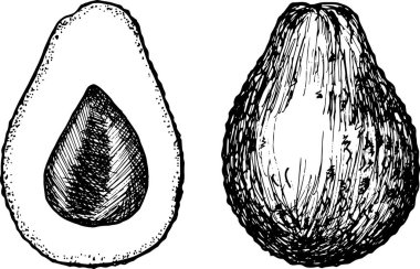 Yarım ve bütün avokado