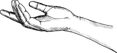 İnsan elinin çizimi. 