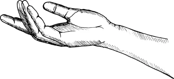Skiss Illustration Mänsklig Hand — Stockfoto