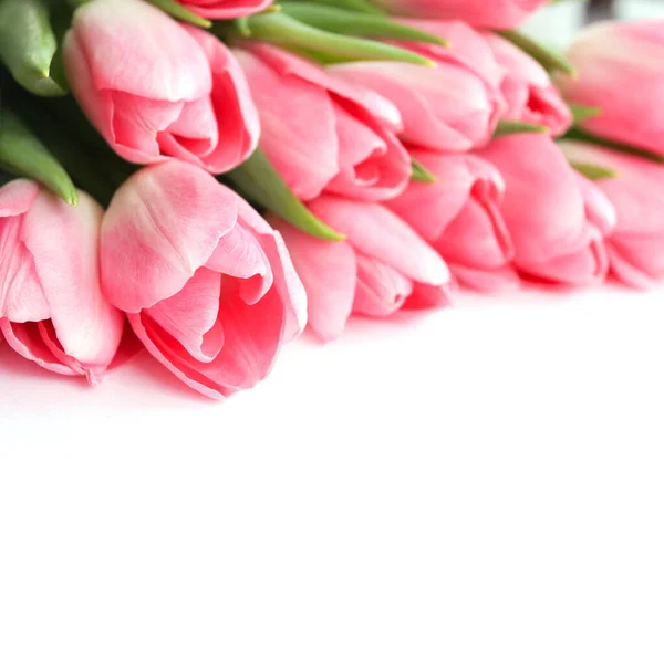 Pink Tulips White Background — Stock Photo, Image