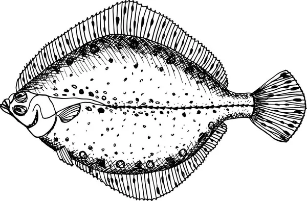Dil Balığı Çizimi Balık — Stok fotoğraf
