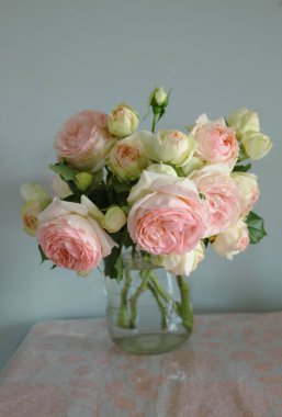 Gül çeşidi Pierre de Ronsard vazoda