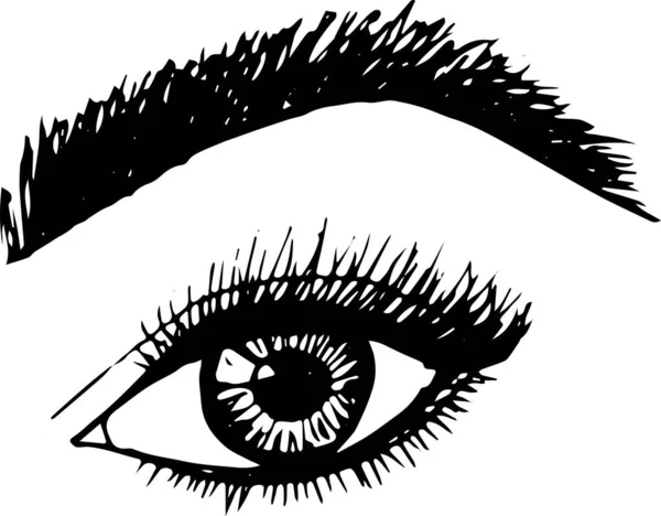 Ilustração Maquiagem Sobrancelha Dos Olhos — Fotografia de Stock