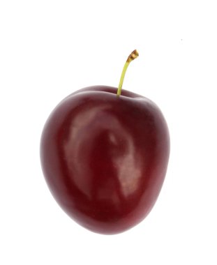 Bir olgun mor erik yalıtılmış