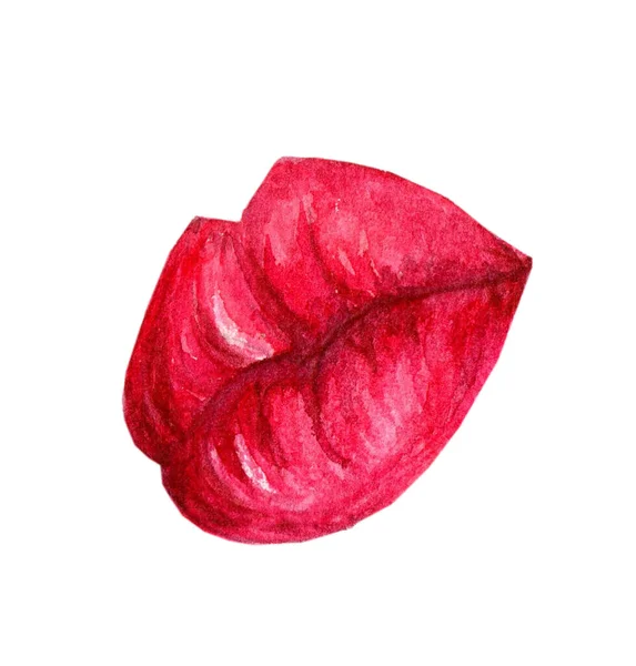 Rosa Läppar Färgglada Akvarell Glamour Mode Skönhet Kvinnor Röda Kvinnliga — Stockfoto