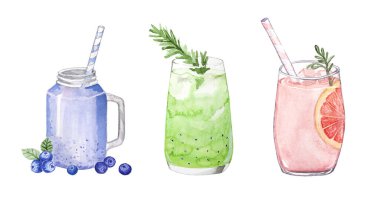 Taze içecek ya da kivi, yabanmersini ve greyfurtlu meyve suyu. Suluboya el çizimi limonata.