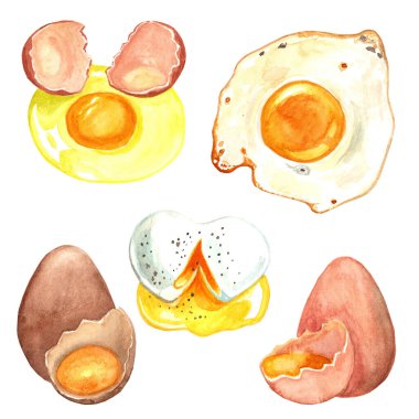 Çiğ, kırılmış, çırpılmış ya da sahanda yumurta. Suluboya el yemek resimlerini çiziyor. Tarif, menü, dergi veya dergi makalesi