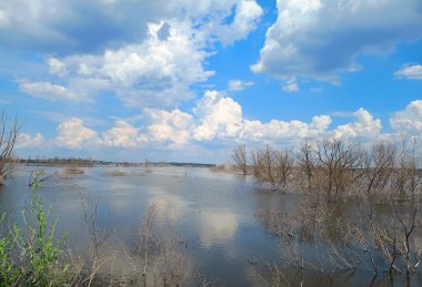 Anlamlı bulutlarla, dökülmüş Dnipro nehri ve kurak ağaçlarla dolu bir manzara..