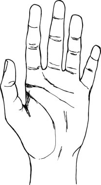 Bir insan elinin el çizimi.