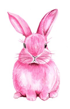 Beyaz arka planda suluboya boyalı şirin pembe bir tavşan.. 