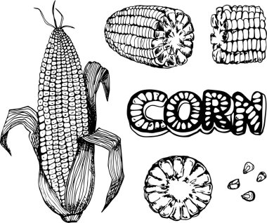 Mısır el çizimi illüstrasyon