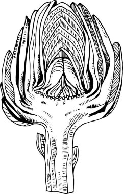 El yapımı enginar Çizimi