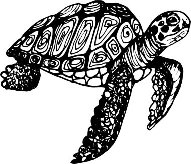 Siyah-beyaz zentangle stili detaylı deniz kaplumbağası, boyama kitapları, dövmeler, baskılar ya da okyanus temalı dekorlar için mükemmel.