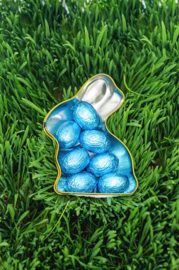 Yeşil çimlerin üzerinde mavi Paskalya yumurtalarıyla dolu tavşan şeklinde bir kap.