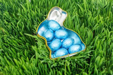 Yeşil çimlerin üzerinde mavi Paskalya yumurtalarıyla dolu tavşan şeklinde bir kap.