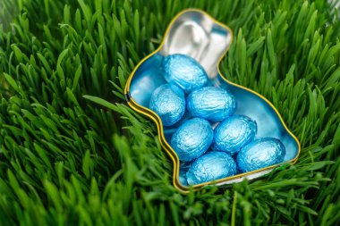 Yeşil çimlerin üzerinde mavi Paskalya yumurtalarıyla dolu tavşan şeklinde bir kap.