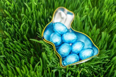 Yeşil çimlerin üzerinde mavi Paskalya yumurtalarıyla dolu tavşan şeklinde bir kap.